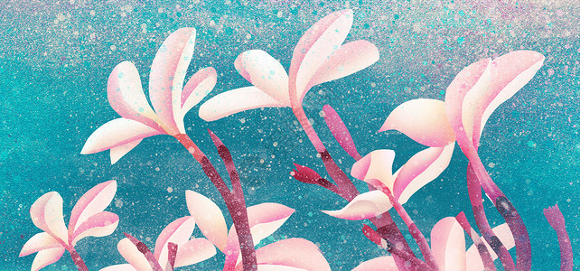 粉色花球热带植物插画