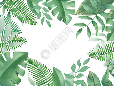叶子叶脉热带植物背景插画