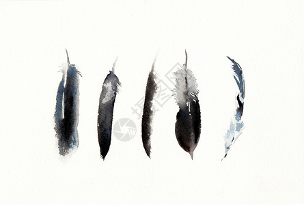 波西米亚风格手绘水彩羽毛插画