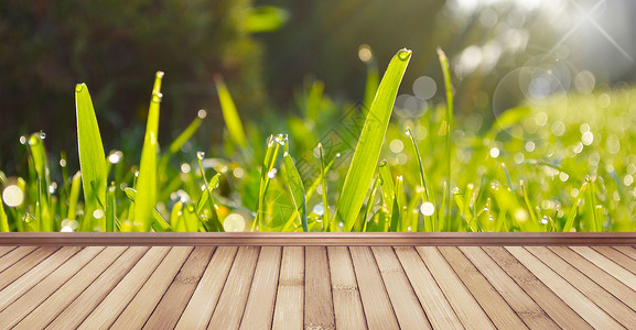 绿草木板吊牌清新春季光晕背景设计图片