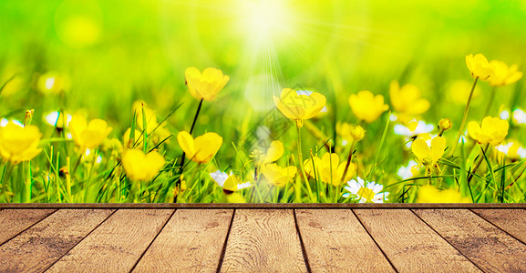 黄色花朵光效春季光晕光效背景设计图片
