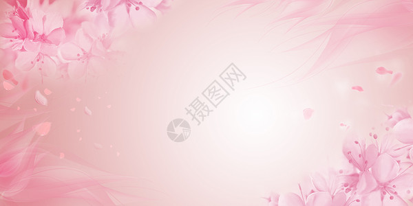 渐变花朵粉色花卉背景设计图片