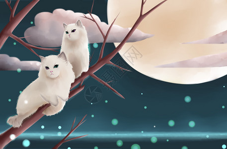 两只猫咪月夜下的猫插画