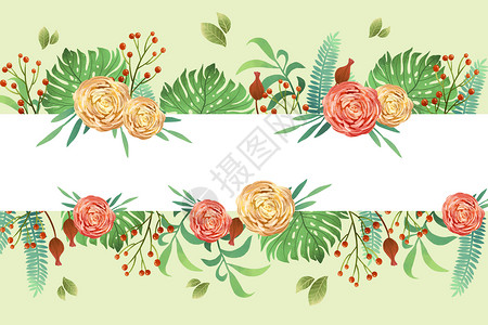 彩色玫瑰花鲜花小清新横版玫瑰花元素边框背景插画