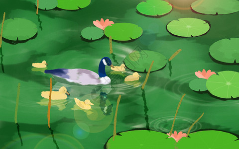 立夏野鸭戏水插画背景图片