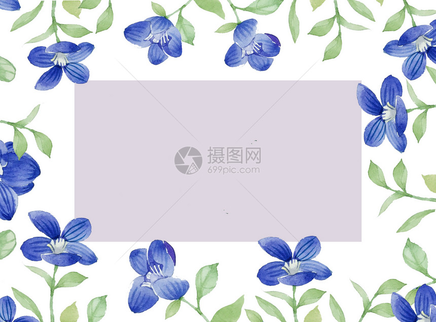 花卉元素边框图片