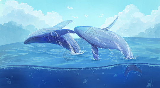 旅游宣传片头海面上的鲸鱼插画
