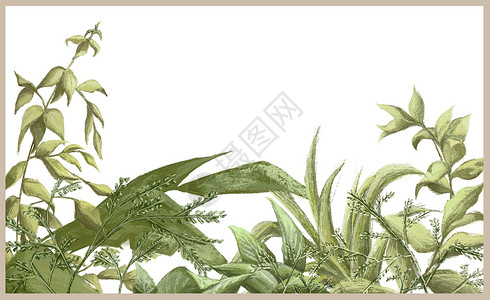 植物背景插画背景图片