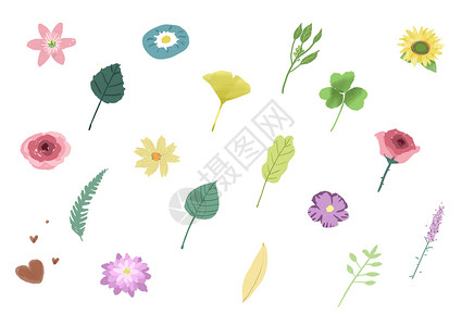植物花卉元素素材图片