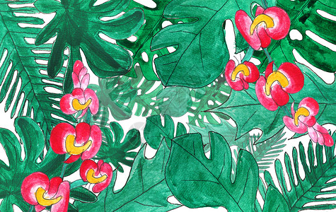 红色蝴蝶兰手绘 水彩 热带植物插画