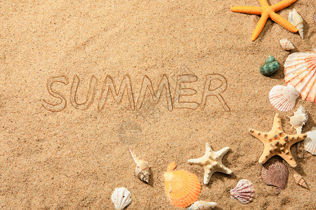 海边捡贝壳沙滩文字summer设计图片
