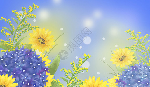 手绘植物向日葵花卉插画