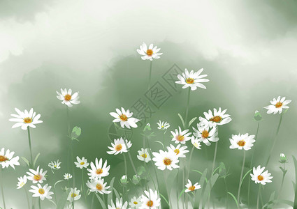 背景素材手绘植物马兰菊高清图片
