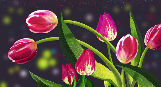 花卉插画卡片索引框高清图片