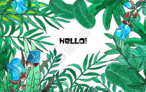 手绘水彩热带植物背景图片