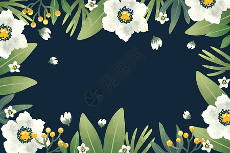 彩色花卉边框唯美黑底白色花卉背景插画