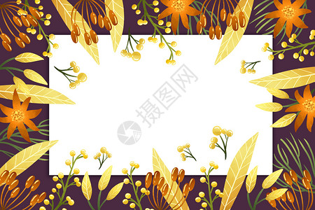 黑底黄色植被果实图案高清图片