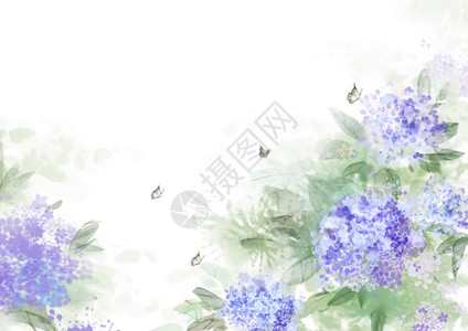 紫阳花卉背景图片