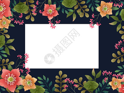 小清新花框植物花卉背景插画