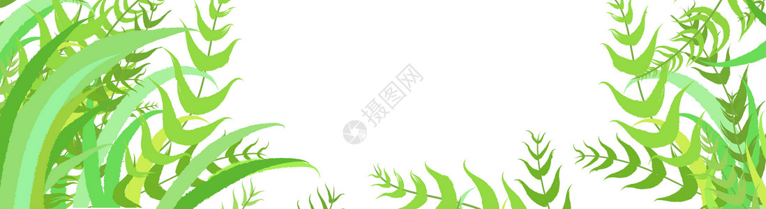 绿色芭蕉叶子背景图片