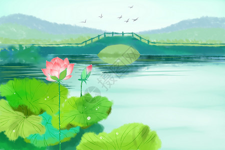 池塘荷花背景图片