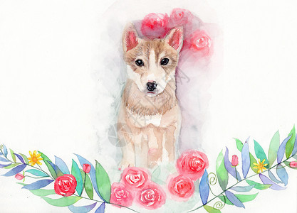 水彩花卉动物手绘背景图片