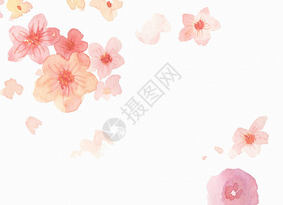樱花免扣红色水彩花朵背景插画