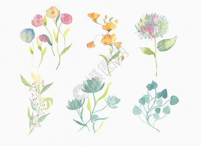 水彩花朵 花朵素材背景图片