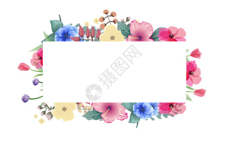 粉色花朵标签花卉背景插画