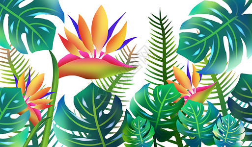 热带植被绿色斑斓水彩高清图片