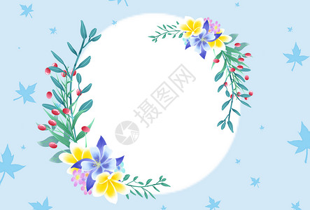 植物花卉彩色星星插图插画高清图片