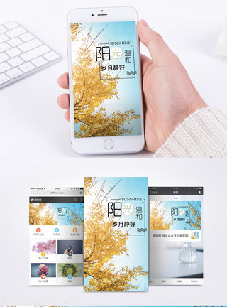 阳光温和手机海报配图模板