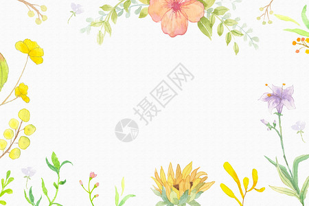 黄色花朵框架黄色水彩花卉背景插画