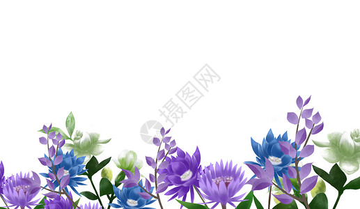 紫色水彩花朵花卉植物素材背景插画