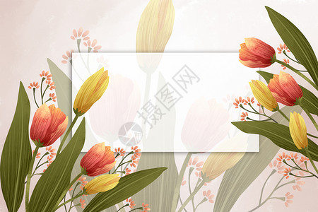 植被树叶元素唯美郁金香边框背景插画