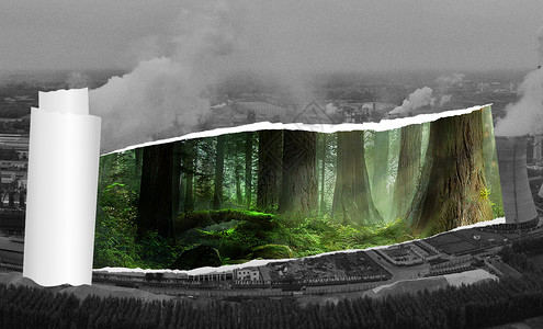 森林雾霾空气污染设计图片