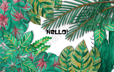 手绘水彩热带植物图片