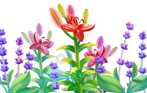 花卉背景素材高清图片