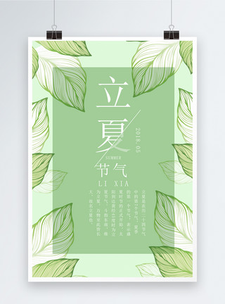 小清新绿叶藤蔓绿色清新立夏节气海报设计模板