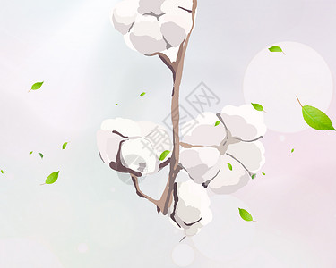 叶子漂浮棉花背景插画