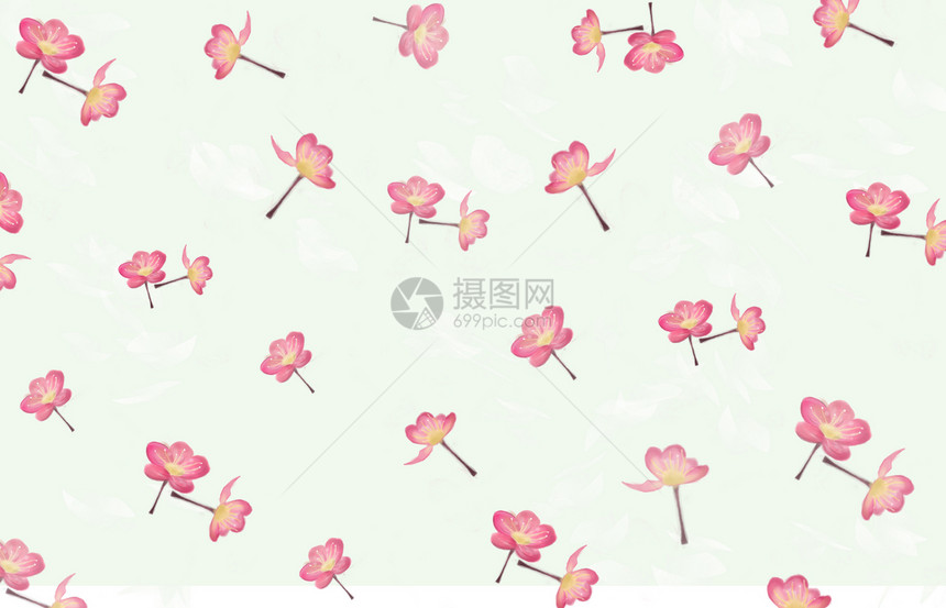 小清新花卉背景图片
