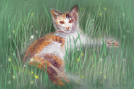 夏至懒洋洋的猫咪背景图片