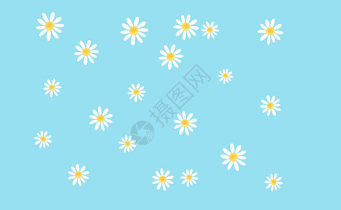 剪纸花卉背景背景图片