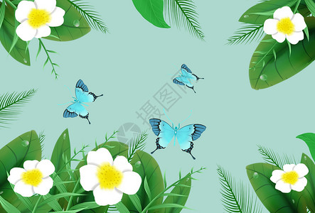 蝴蝶叶子昆虫植物花卉插画