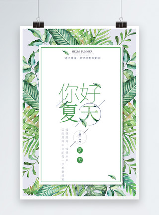 手绘植物芦荟你好夏天季节海报模板