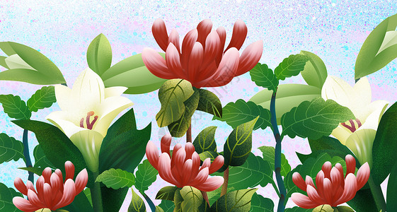 百合花壁纸花卉背景素材插画