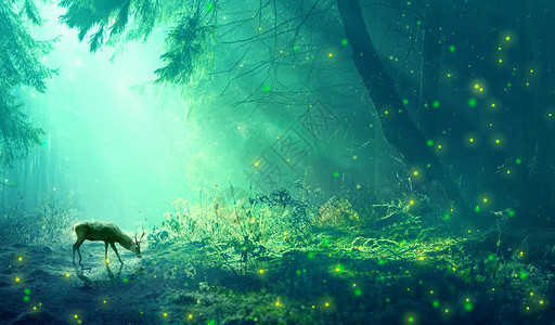草地梦幻素材绿光森林与麋鹿设计图片