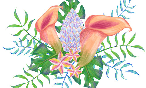 彩铅植物手绘热带花朵插画