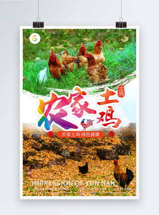 农家小炒肉农家土鸡宣传海报模板