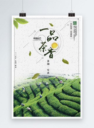 红茶叶素材一品茶香海报模板